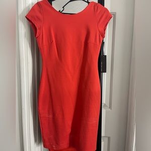 Backless dress NWT